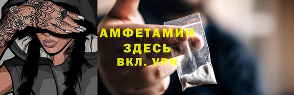 амф Бородино
