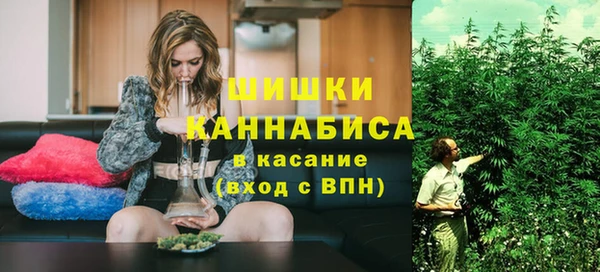 амф Бородино