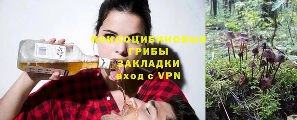 амф Бородино