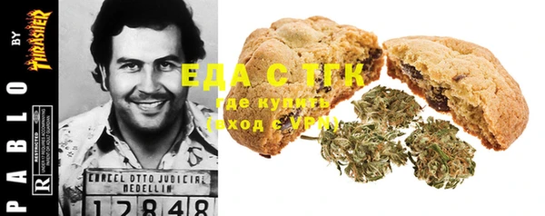 амф Бородино